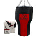 Bag and punching Mitts